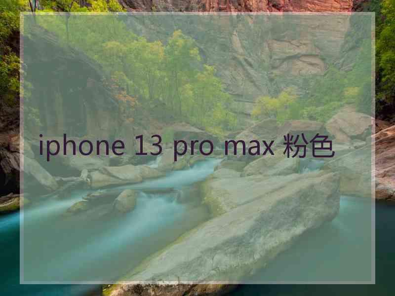 iphone 13 pro max 粉色