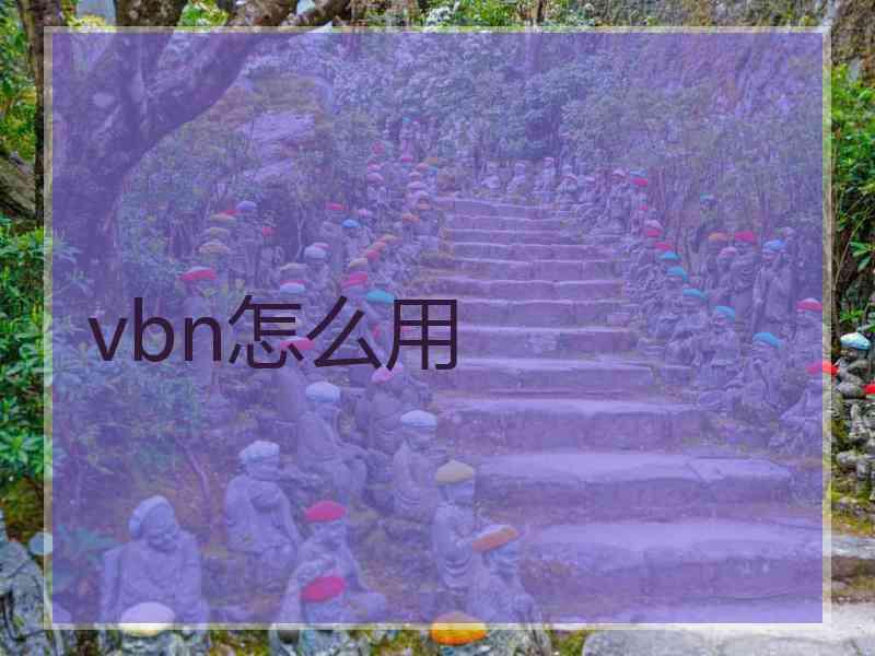 vbn怎么用