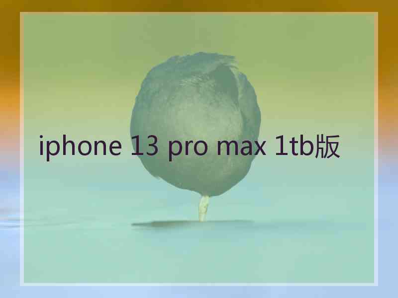 iphone 13 pro max 1tb版