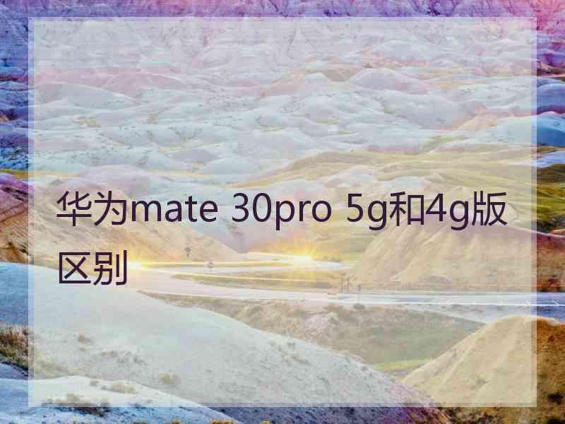 华为mate 30pro 5g和4g版区别