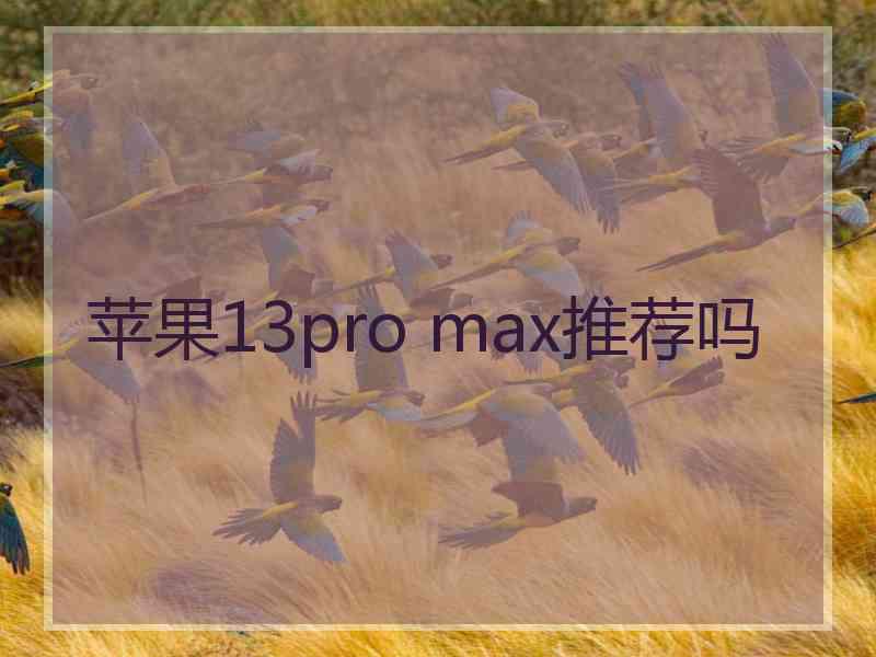 苹果13pro max推荐吗