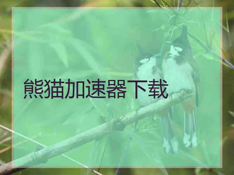 熊猫加速器下载