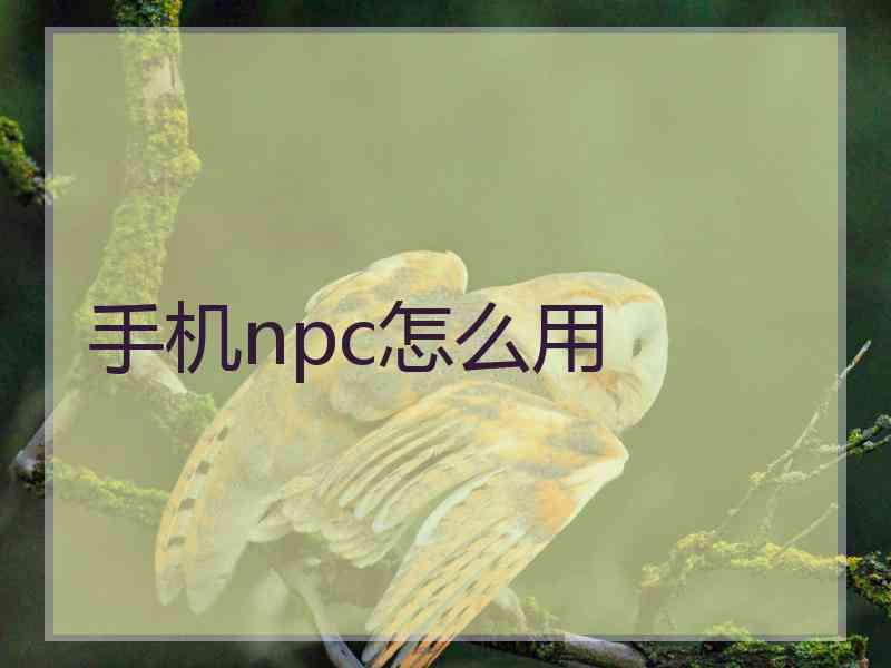 手机npc怎么用