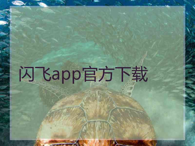 闪飞app官方下载