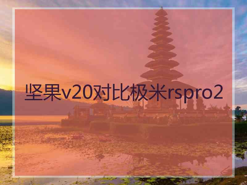 坚果v20对比极米rspro2