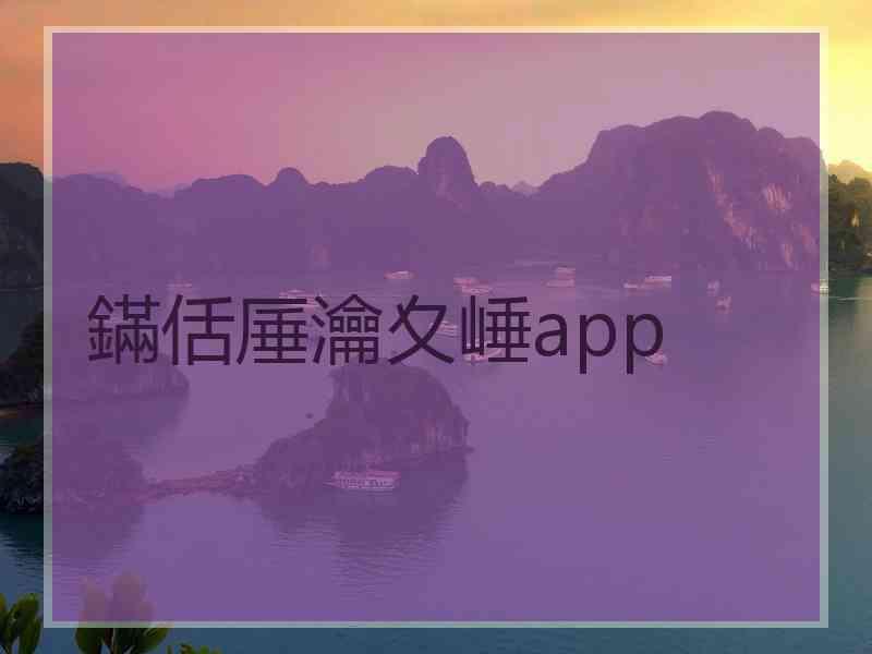 鏋佸厜瀹夊崜app