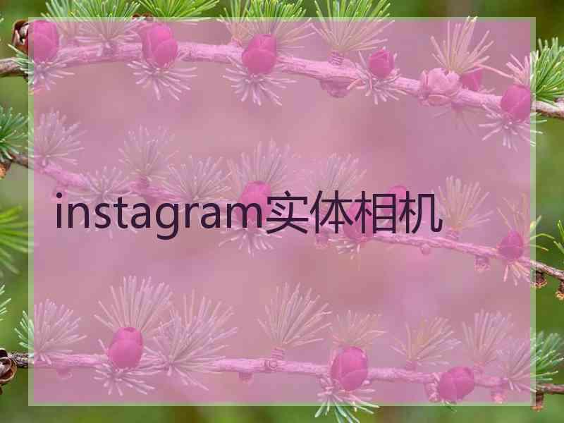 instagram实体相机