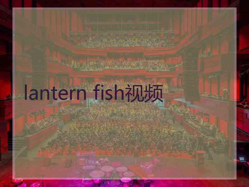 lantern fish视频