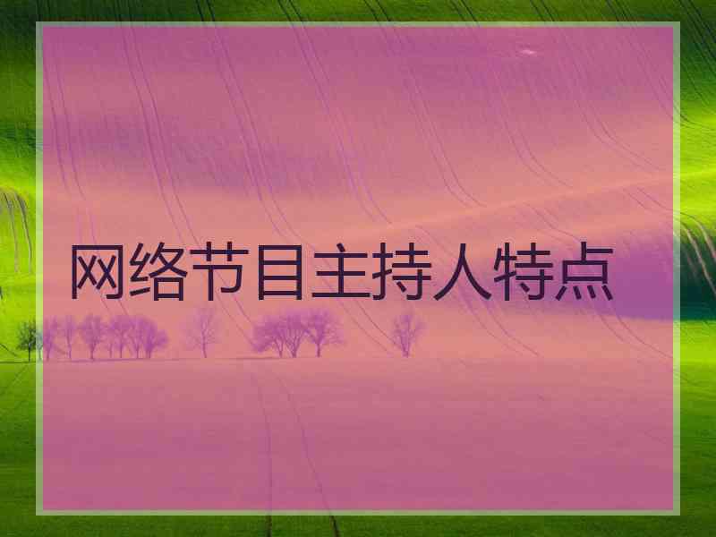 网络节目主持人特点