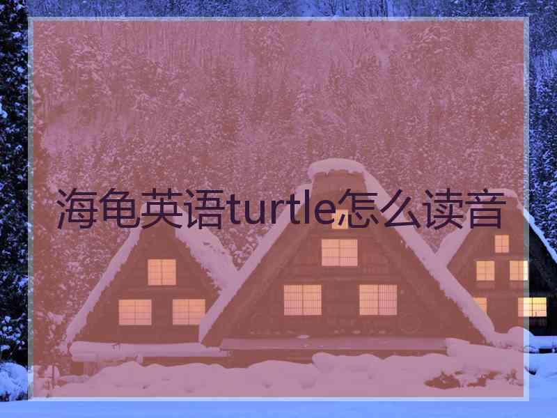 海龟英语turtle怎么读音