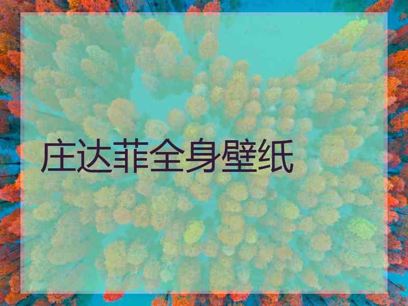 庄达菲全身壁纸