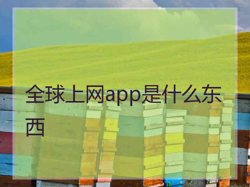 全球上网app是什么东西