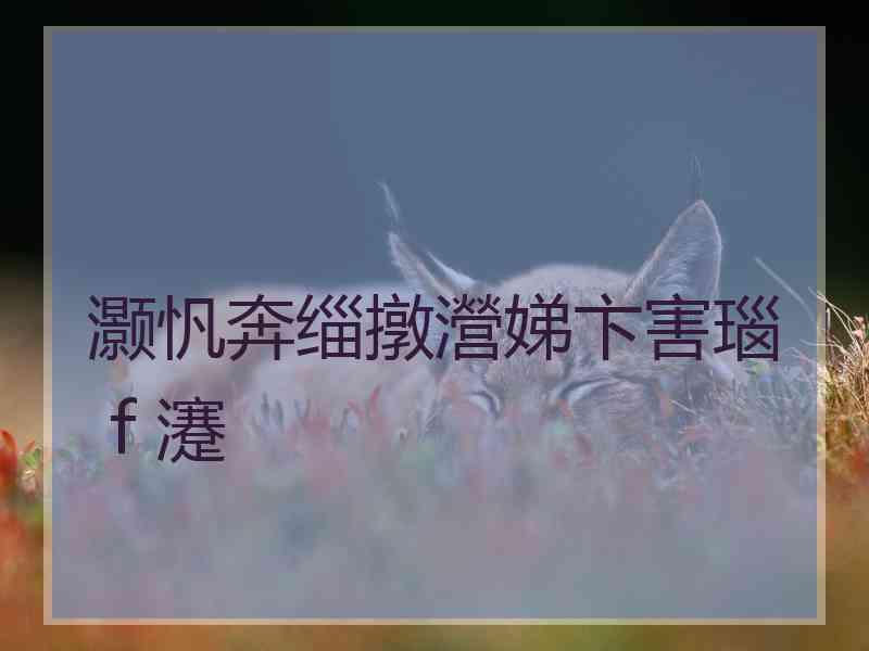 灏忛奔缁撴瀯娣卞害瑙ｆ瀽