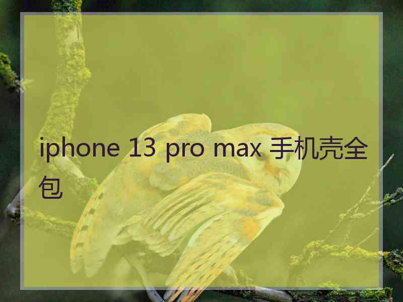 iphone 13 pro max 手机壳全包