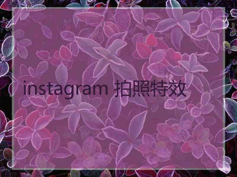 instagram 拍照特效