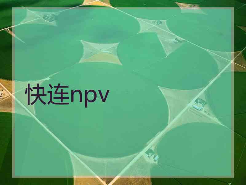 快连npv