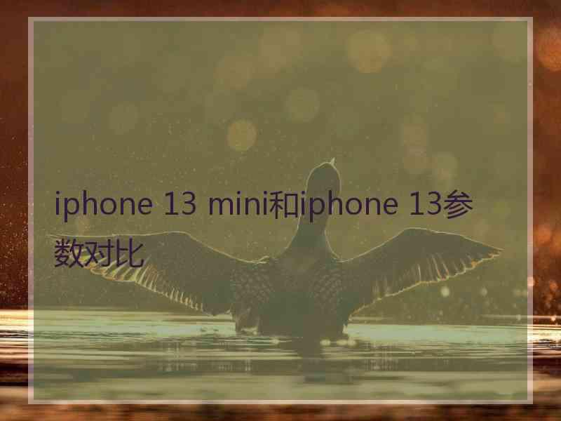 iphone 13 mini和iphone 13参数对比