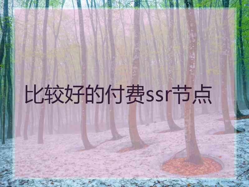 比较好的付费ssr节点