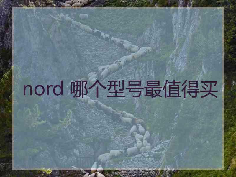 nord 哪个型号最值得买