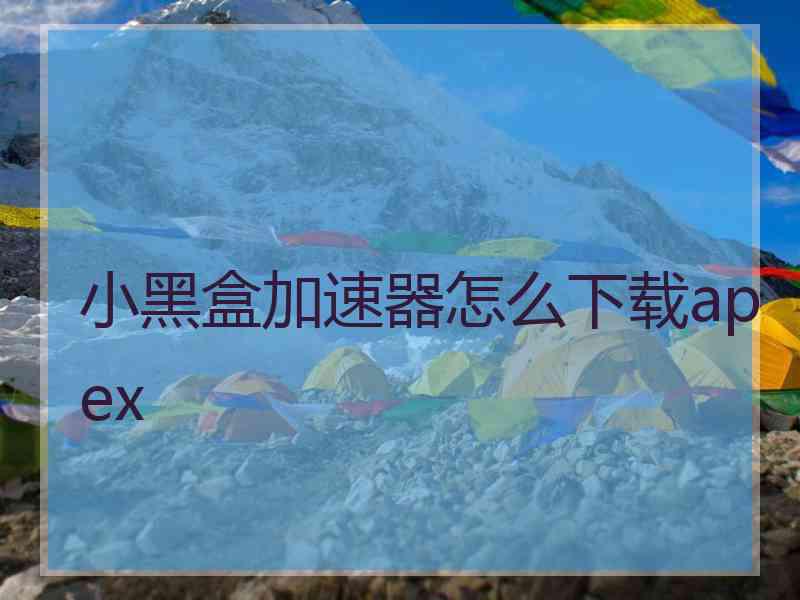 小黑盒加速器怎么下载apex