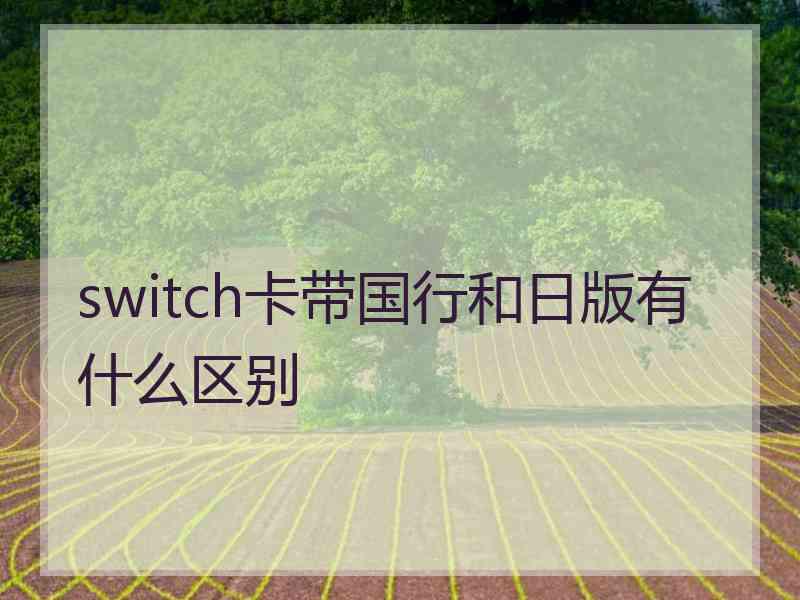 switch卡带国行和日版有什么区别