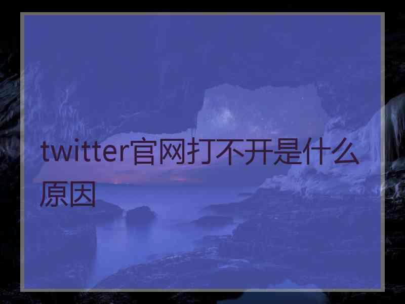 twitter官网打不开是什么原因