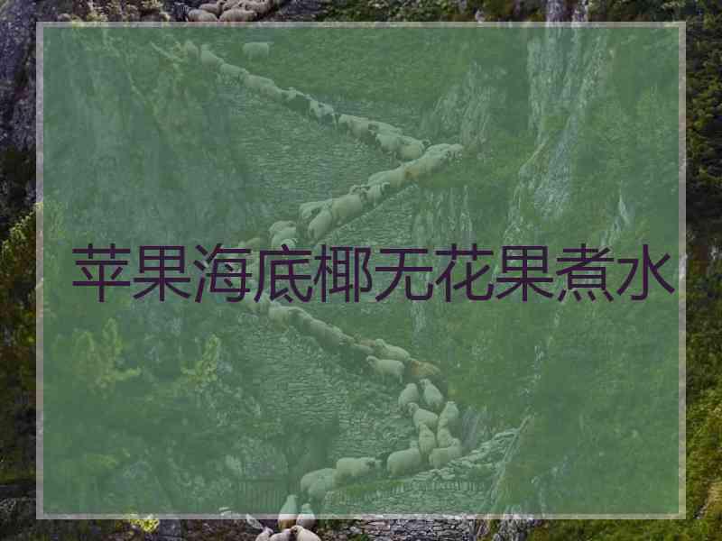 苹果海底椰无花果煮水