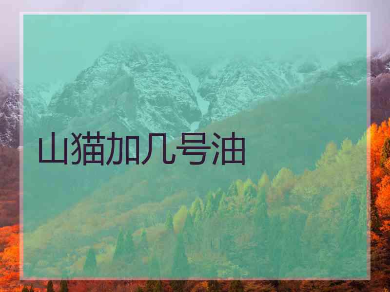 山猫加几号油