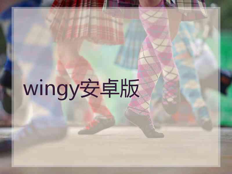 wingy安卓版