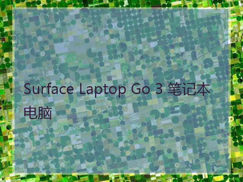 Surface Laptop Go 3 笔记本电脑