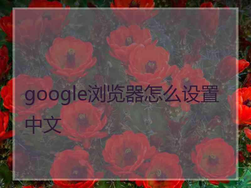 google浏览器怎么设置中文