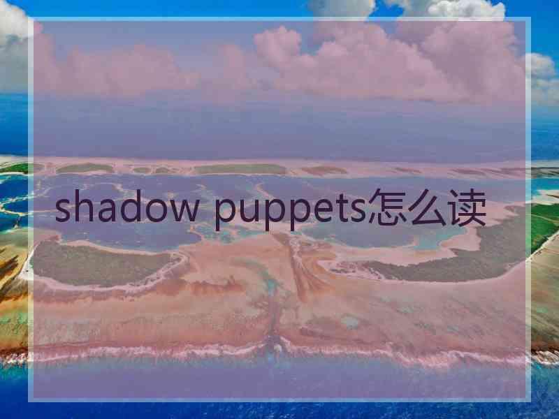 shadow puppets怎么读