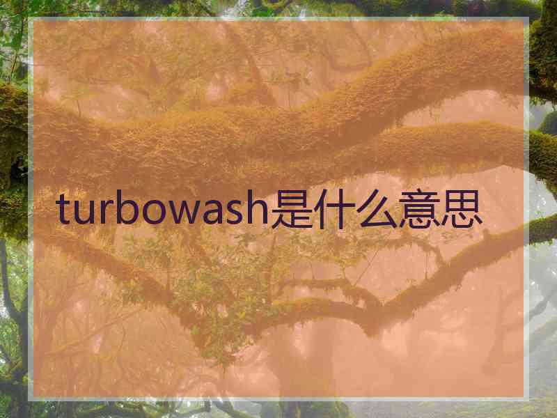 turbowash是什么意思