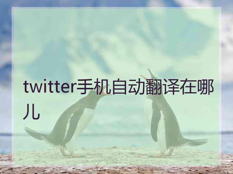 twitter手机自动翻译在哪儿