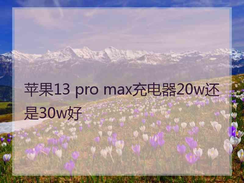 苹果13 pro max充电器20w还是30w好