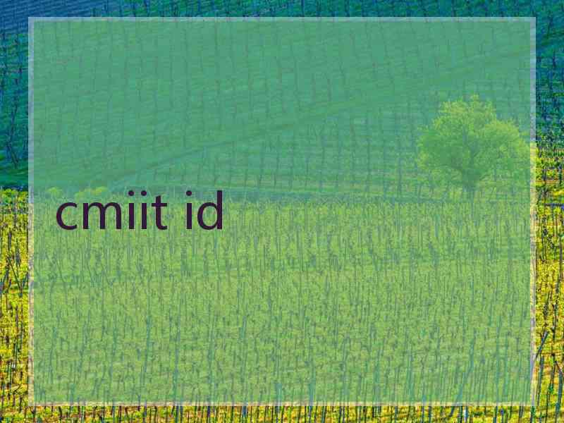 cmiit id