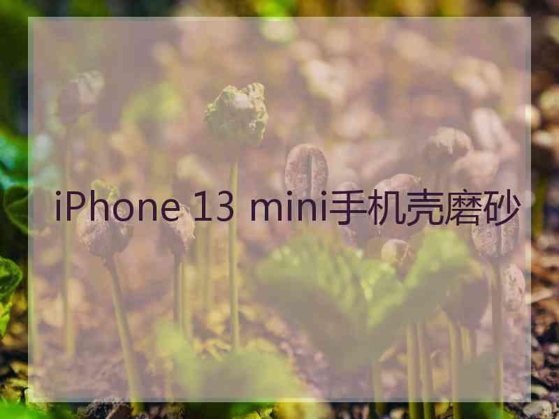 iPhone 13 mini手机壳磨砂