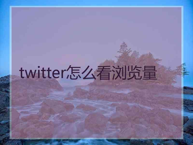 twitter怎么看浏览量