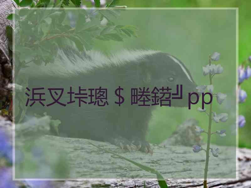 浜叉垰璁＄畻鍣╝pp