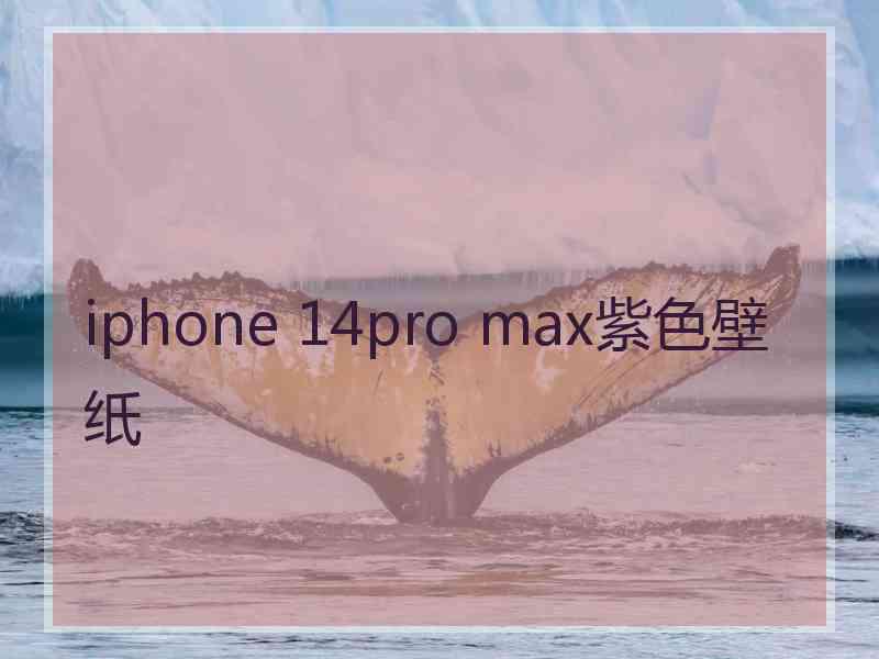 iphone 14pro max紫色壁纸