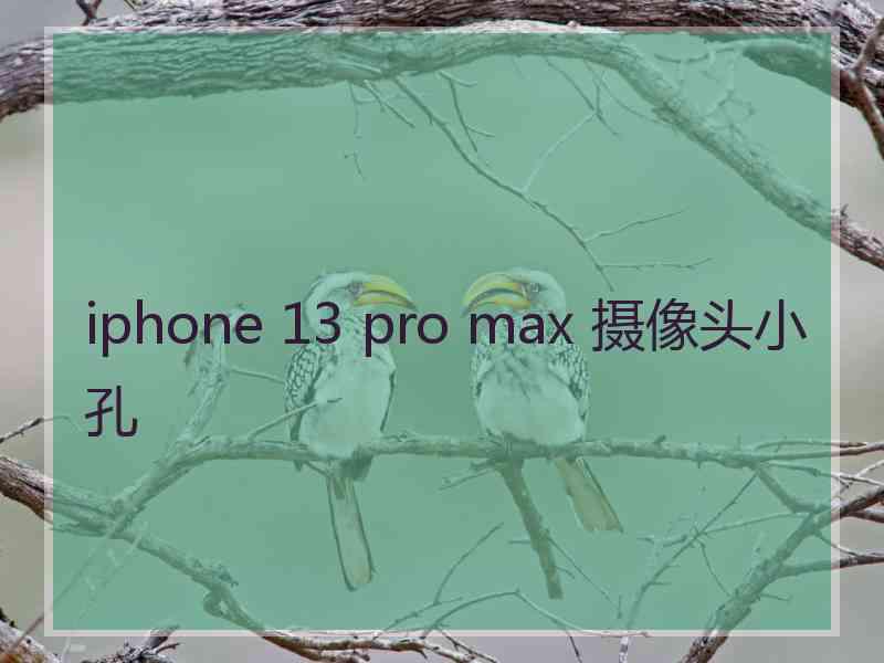 iphone 13 pro max 摄像头小孔