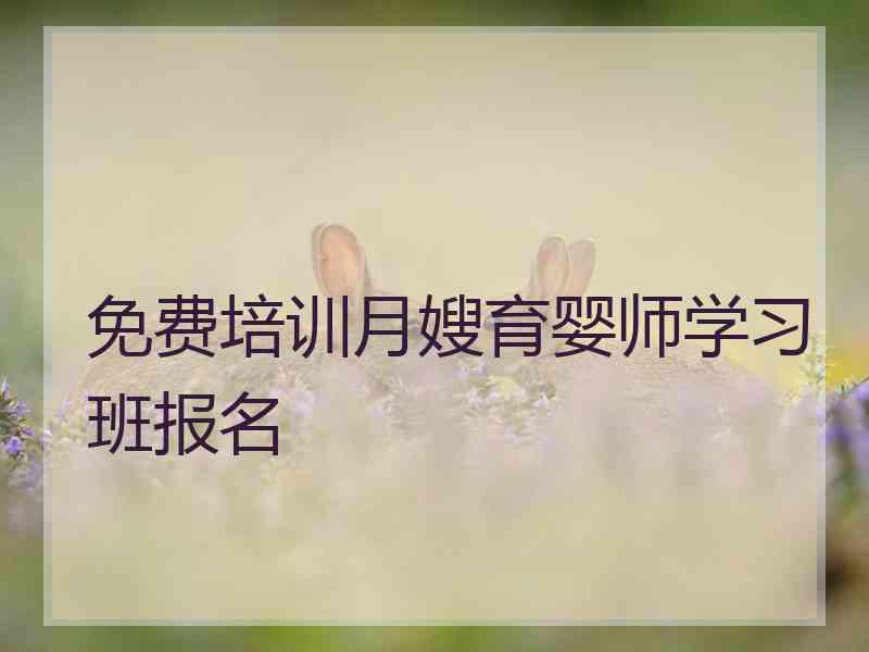 免费培训月嫂育婴师学习班报名