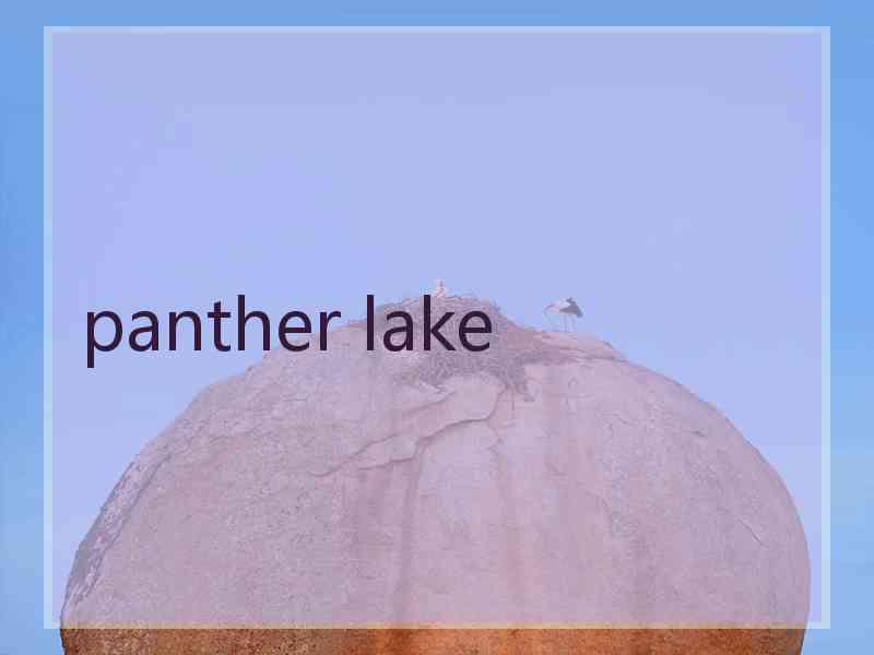 panther lake