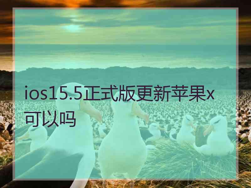 ios15.5正式版更新苹果x可以吗