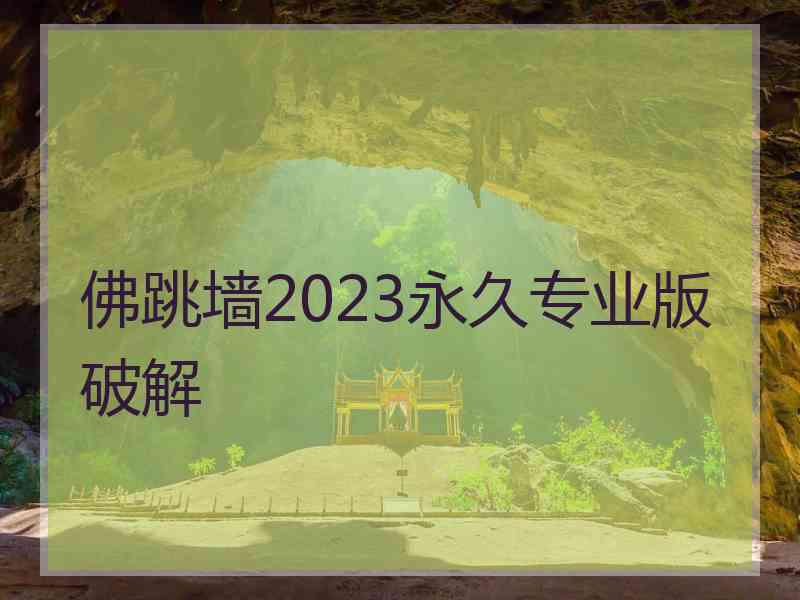 佛跳墙2023永久专业版破解