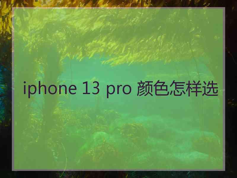 iphone 13 pro 颜色怎样选