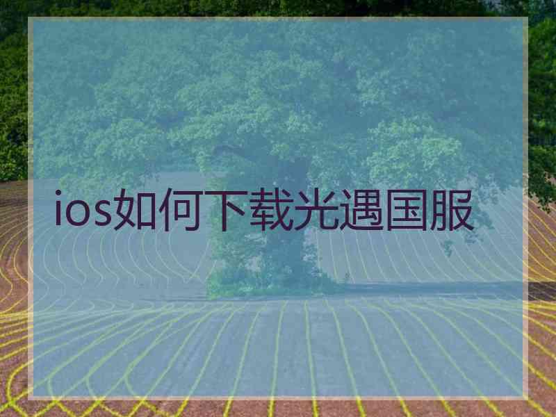 ios如何下载光遇国服