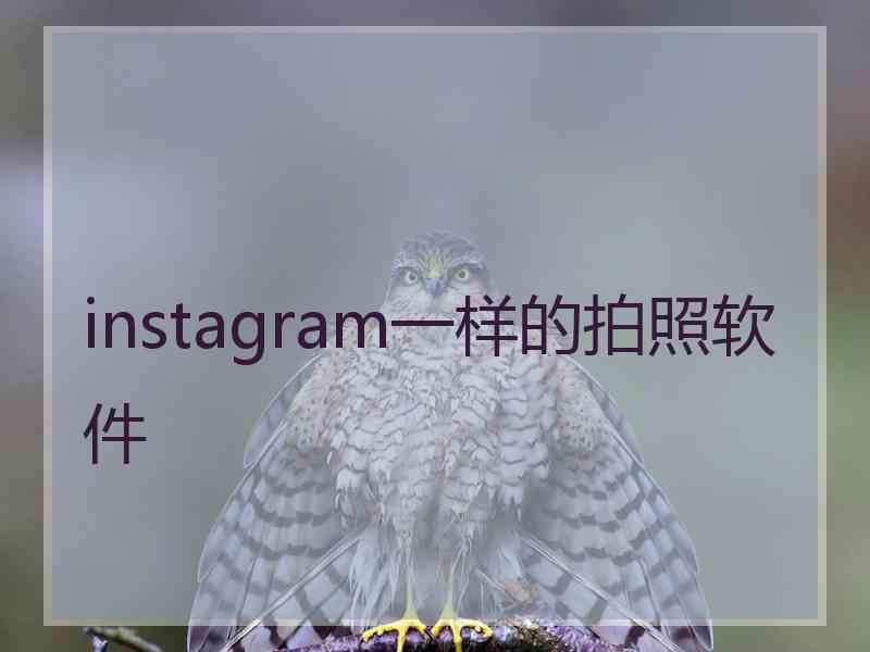 instagram一样的拍照软件