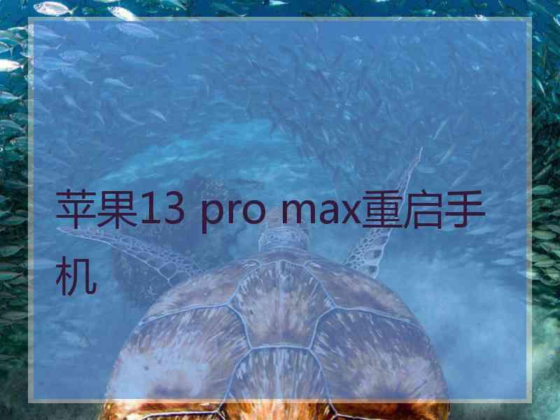 苹果13 pro max重启手机