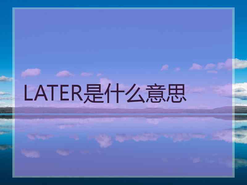 LATER是什么意思